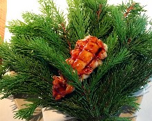 Thumbs/tn_LI,MEI-HUI.Norway.Maaemo_ (17).jpg